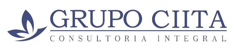 Cargue la imagen en el visor de la galería, Diplomado en Gestión Estratégica para empresas del sector hidrocarburos en México