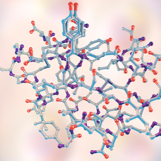 Seminario Internacional en Inmunometabolismo, Neuroinflamación y Nutrición