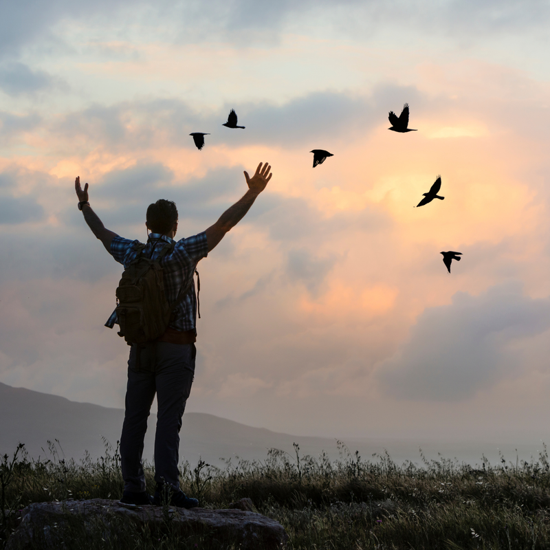 Cargue la imagen en el visor de la galería, Curso Plenitud Activa, Ejercita tu Mente y  Fortalece tu Ser
