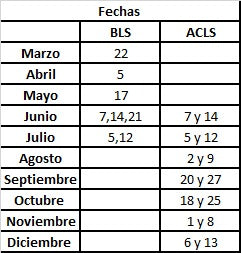 Cargue la imagen en el visor de la galería, Curso de Soporte Vital Básico y Avanzado (BLS + ACLS)
