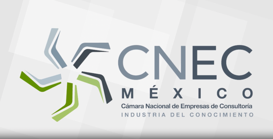 Formación de consultores para la empresa