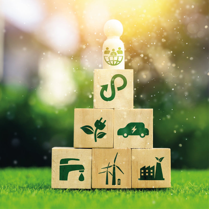 Cargue la imagen en el visor de la galería, Diplomado en Gestión de la Sustentabilidad Turística
