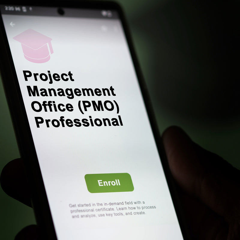 Cargue la imagen en el visor de la galería, Diplomado en Dirección Avanzada de Programas y Oficinas de Proyectos (PMO)

