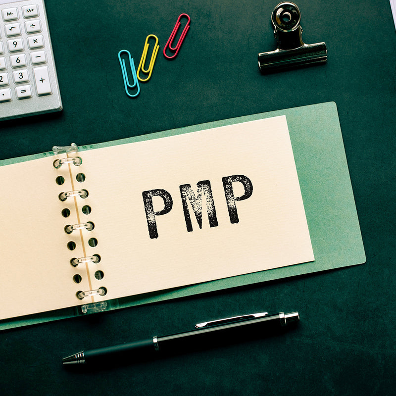 Cargue la imagen en el visor de la galería, Diplomado Dirección de Proyectos para la Comunicación y Toma de Decisiones, Basados en las Últimas Metodologías Ágiles con Enfoque en SCRUM y PMP
